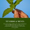 Acondicionador-Detox-T&eacute;-verde-&-menta-400-ml-imagen-4