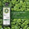 Shampoo-Herbal-Essences-Detox-T&eacute;-verde-&-menta-600-ml-imagen-3