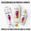 Pack-Shampoo-+-Acondicionador-Purifica-e-Hidrata-imagen-4