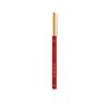 Color-Riche-Le-Lip-Crayon---300-Le-Rouge-Paris-imagen-1