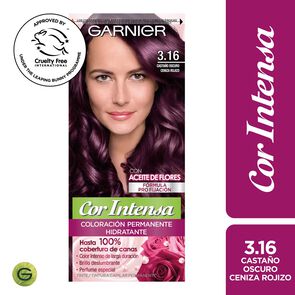 Coloración-3.16-Castaño-Oscuro-Ceniza-Rojizo-Garnier--imagen