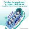 Cepillo-Dental-Colgate-360&ordm;-Original-Medio-2-Unidades-imagen-5