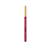 Color-Riche-Le-Lip-Crayon---2010-La-Prune-imagen-4