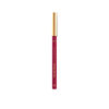 Color-Riche-Le-Lip-Crayon---2010-La-Prune-imagen-2