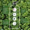 Shampoo-Herbal-Essences-Detox-T&eacute;-verde-&-menta-600-ml-imagen-5