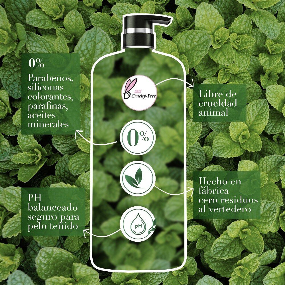 Shampoo-Herbal-Essences-Detox-T&eacute;-verde-&-menta-600-ml-imagen-5
