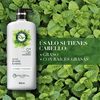 Acondicionador-Herbal-Essences-Detox-T&eacute;-verde-&-menta-600-ml-imagen-3