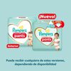 Pants-Premium-Care-Pa&ntilde;ales-Desechables-M-76-Unidades-imagen-5