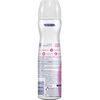 Desodorante-Spray-Powder-de-150-ml-imagen-4