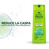 Shampoo-Fortificante-Anticaspa-Cabello-graso-350-mL-imagen-3