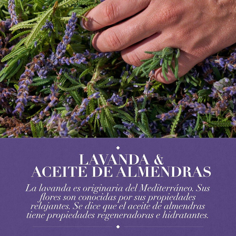 Shampoo-Herbal-Essences-Lavanda-&-Aceite-de-Almendras-600-ml-imagen-4